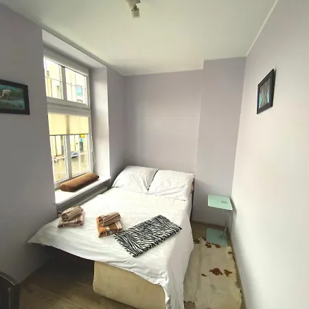 Gdanskie - Targ Rybny Z Widokiem Na Motlawe * 格但斯克