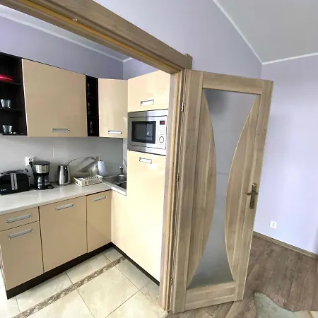 Gdanskie - Targ Rybny Z Widokiem Na Motlawe * 格但斯克